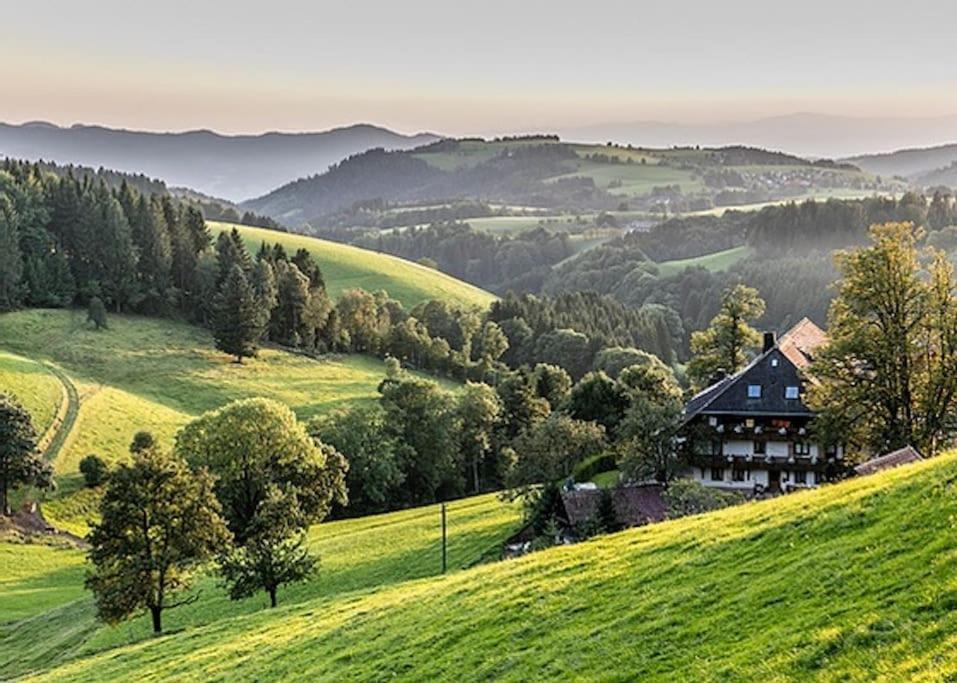 Ferienwohnung Niki Titisee-Neustadt Ngoại thất bức ảnh