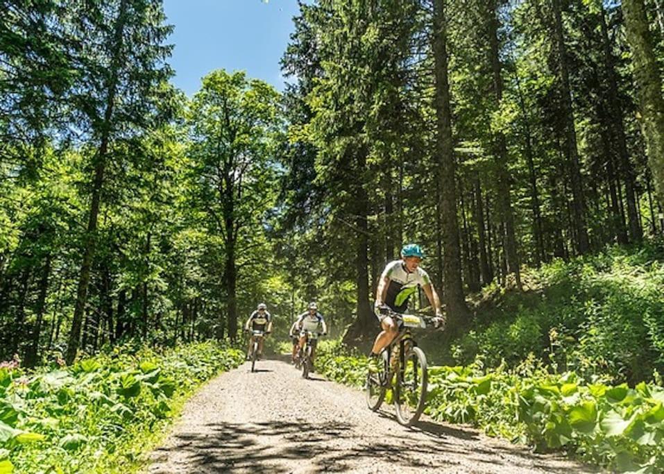 Ferienwohnung Niki Titisee-Neustadt Ngoại thất bức ảnh