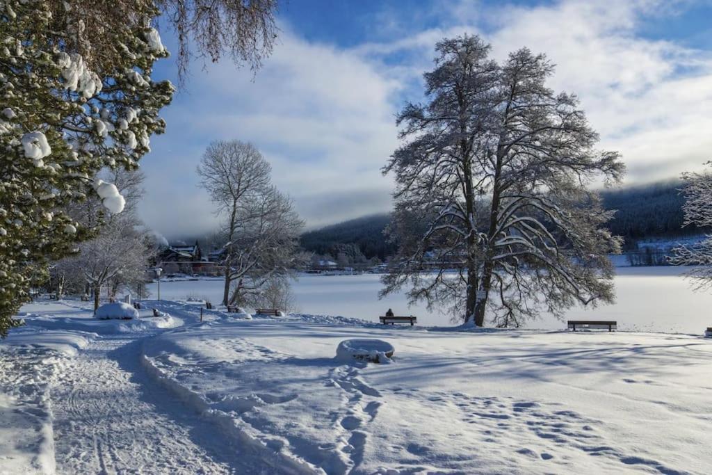 Ferienwohnung Niki Titisee-Neustadt Ngoại thất bức ảnh