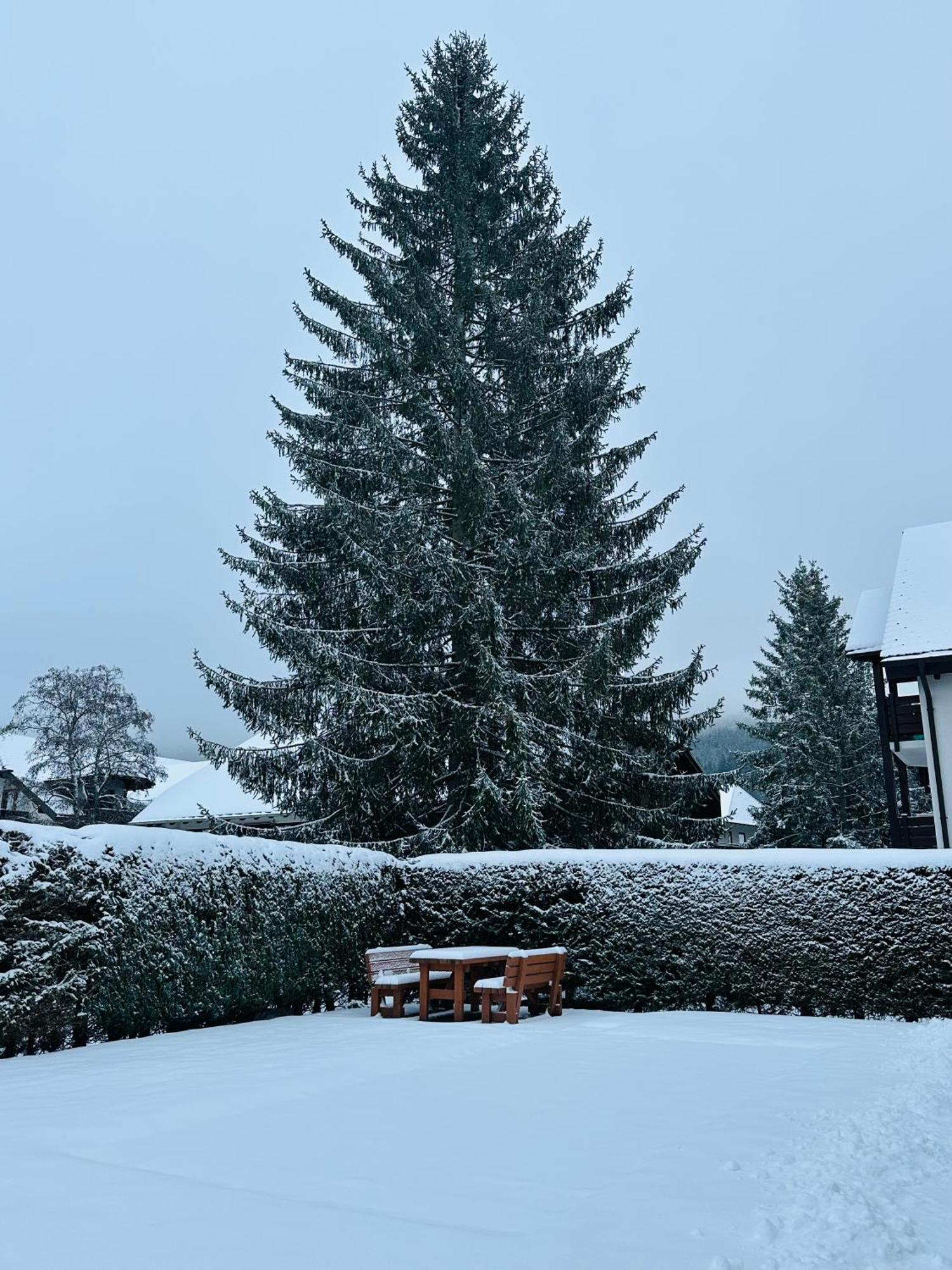Ferienwohnung Niki Titisee-Neustadt Ngoại thất bức ảnh